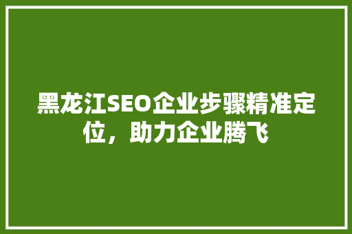 黑龙江SEO企业步骤精准定位，助力企业腾飞 神马SEO