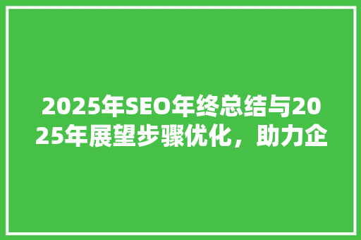2025年SEO年终总结与2025年展望步骤优化，助力企业腾飞 GoogleSEO