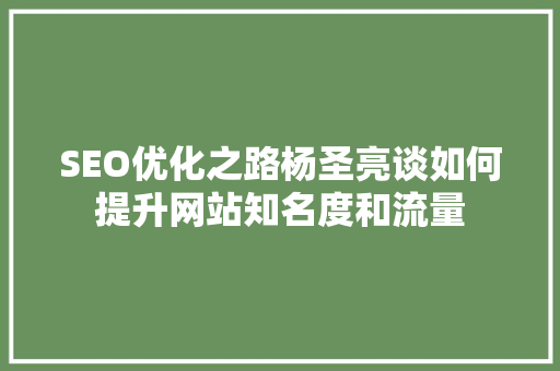 SEO优化之路杨圣亮谈如何提升网站知名度和流量 必应SEO