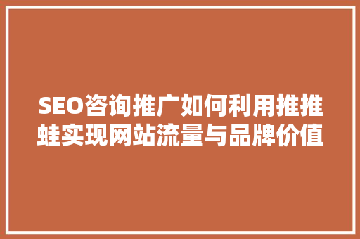SEO咨询推广如何利用推推蛙实现网站流量与品牌价值双提升 必应SEO