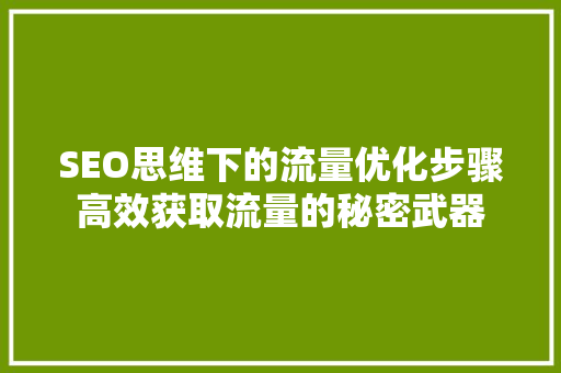 SEO思维下的流量优化步骤高效获取流量的秘密武器 百度SEO