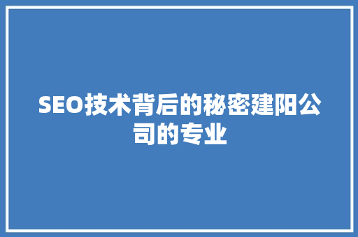 SEO技术背后的秘密建阳公司的专业 GoogleSEO