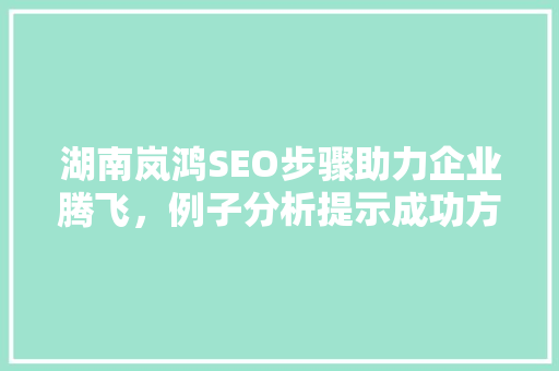 湖南岚鸿SEO步骤助力企业腾飞，例子分析提示成功方法 百度SEO