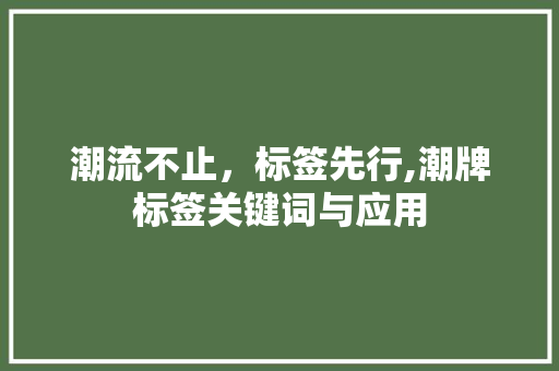 潮流不止，标签先行,潮牌标签关键词与应用 搜狗SEO