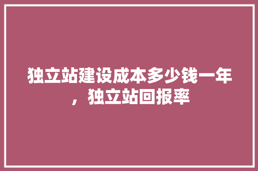 独立站建设成本多少钱一年，独立站回报率 GoogleSEO