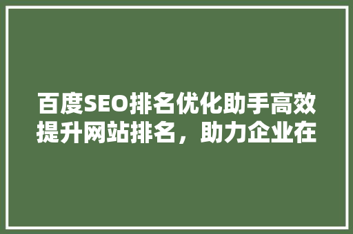 百度SEO排名优化助手高效提升网站排名，助力企业在线营销 GoogleSEO