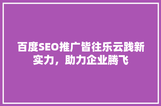 百度SEO推广皆往乐云践新实力，助力企业腾飞 必应SEO