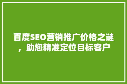 百度SEO营销推广价格之谜，助您精准定位目标客户 神马SEO