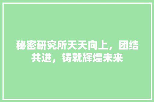 秘密研究所天天向上，团结共进，铸就辉煌未来 搜狗SEO
