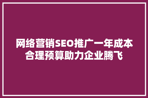 网络营销SEO推广一年成本合理预算助力企业腾飞 GoogleSEO