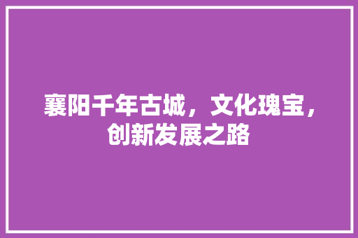 襄阳千年古城，文化瑰宝，创新发展之路 必应SEO