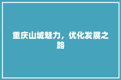 重庆山城魅力，优化发展之路 神马SEO