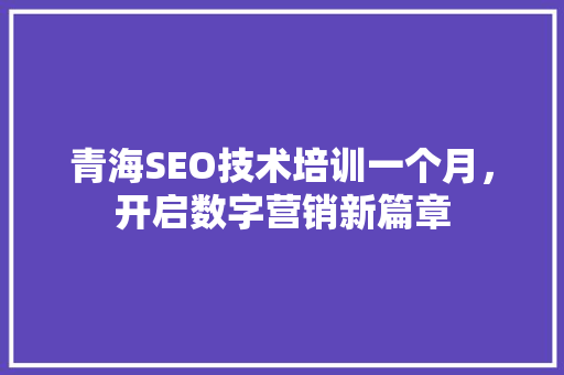 青海SEO技术培训一个月，开启数字营销新篇章