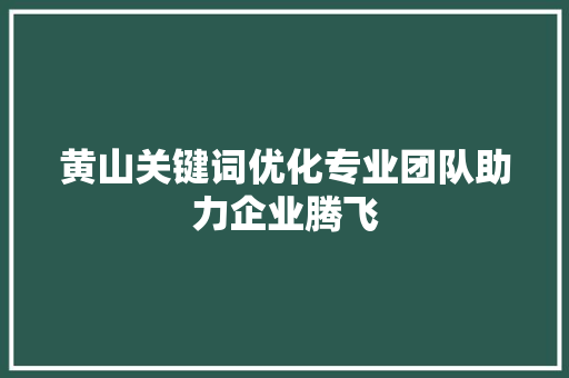 黄山关键词优化专业团队助力企业腾飞 GoogleSEO