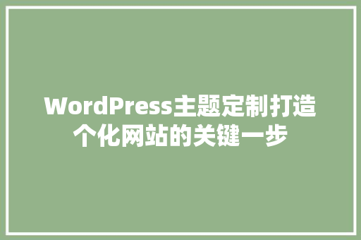 WordPress主题定制打造个化网站的关键一步 搜狗SEO