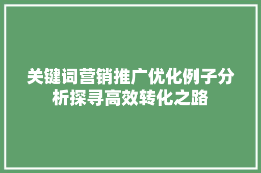 关键词营销推广优化例子分析探寻高效转化之路 神马SEO