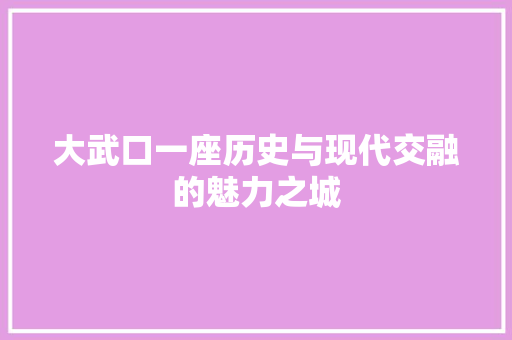 大武口一座历史与现代交融的魅力之城 必应SEO