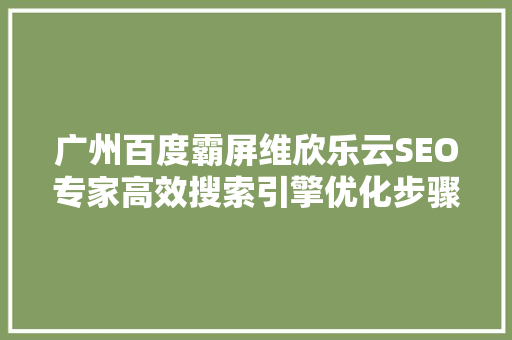 广州百度霸屏维欣乐云SEO专家高效搜索引擎优化步骤 百度SEO
