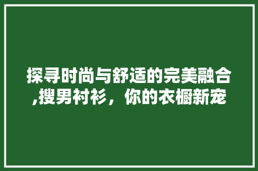探寻时尚与舒适的完美融合,搜男衬衫，你的衣橱新宠 GoogleSEO