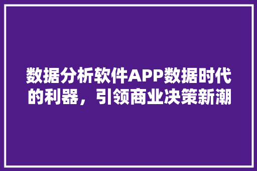 数据分析软件APP数据时代的利器，引领商业决策新潮流 神马SEO