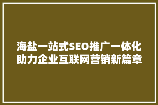 海盐一站式SEO推广一体化助力企业互联网营销新篇章