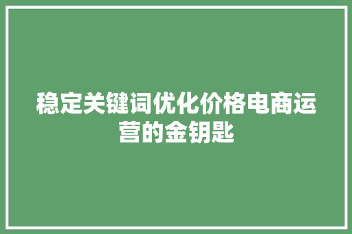 稳定关键词优化价格电商运营的金钥匙 必应SEO
