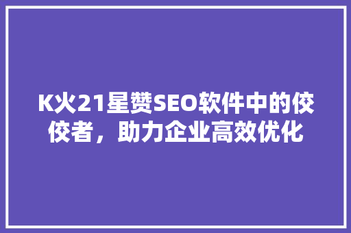 K火21星赞SEO软件中的佼佼者，助力企业高效优化