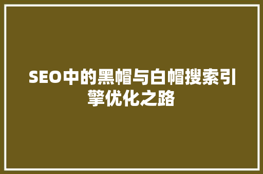 SEO中的黑帽与白帽搜索引擎优化之路 GoogleSEO
