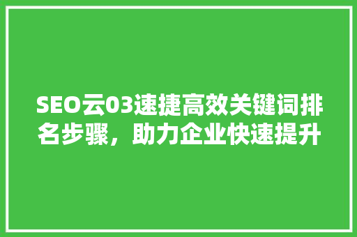 SEO云03速捷高效关键词排名步骤，助力企业快速提升在线知名度 神马SEO
