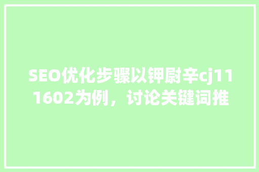 SEO优化步骤以钾尉辛cj111602为例,讨论关键词推广之路 GoogleSEO SEO优化步骤以钾尉辛cj111602为例,讨论关键词推广之路 GoogleSEO