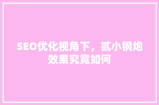 SEO优化视角下，贰小钢炮效果究竟如何 搜狗SEO