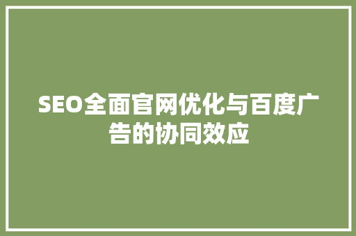 SEO全面官网优化与百度广告的协同效应 神马SEO