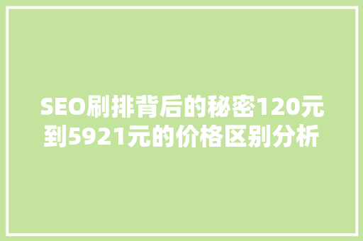SEO刷排背后的秘密120元到5921元的价格区别分析 神马SEO