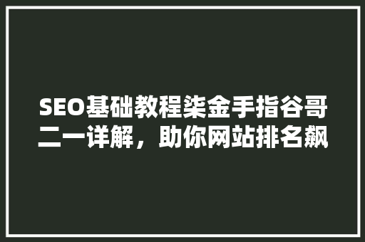 SEO基础教程柒金手指谷哥二一详解，助你网站排名飙升 必应SEO