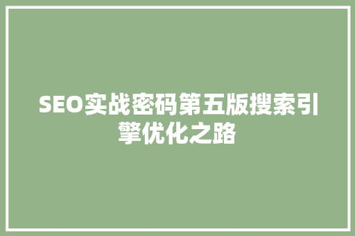 SEO实战密码第五版搜索引擎优化之路 必应SEO