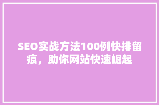SEO实战方法100例快排留痕，助你网站快速崛起 百度SEO
