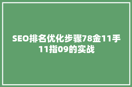 SEO排名优化步骤78金11手11指09的实战 GoogleSEO