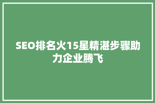 SEO排名火15星精湛步骤助力企业腾飞