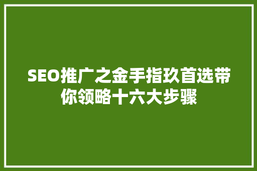 SEO推广之金手指玖首选带你领略十六大步骤 神马SEO