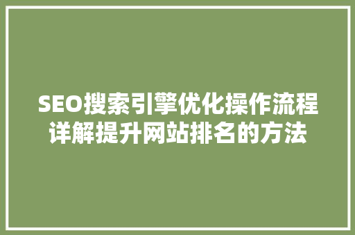 SEO搜索引擎优化操作流程详解提升网站排名的方法