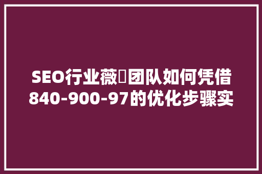 SEO行业薇鈊团队如何凭借840-900-97的优化步骤实现网站流量翻番 搜狗SEO