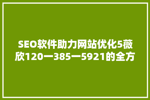 SEO软件助力网站优化5薇欣120一385一5921的全方位 搜狗SEO
