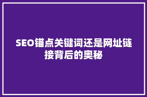 SEO锚点关键词还是网址链接背后的奥秘 GoogleSEO