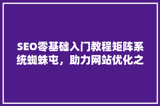 SEO零基础入门教程矩阵系统蜘蛛屯，助力网站优化之路 必应SEO