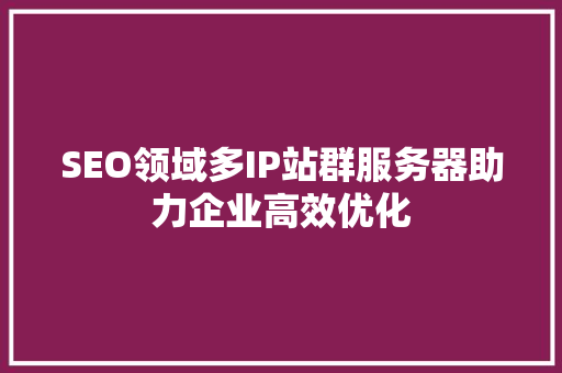 SEO领域多IP站群服务器助力企业高效优化 百度SEO