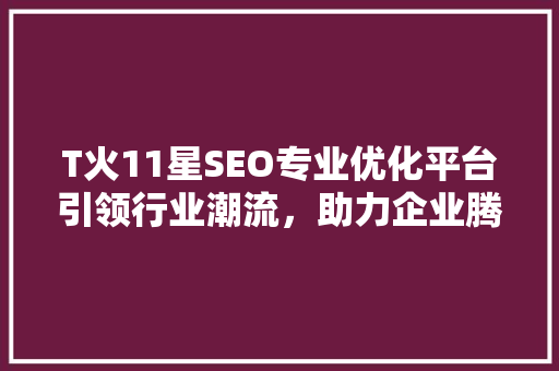 T火11星SEO专业优化平台引领行业潮流，助力企业腾飞 神马SEO