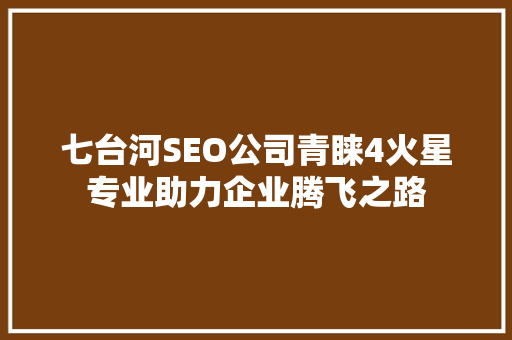 七台河SEO公司青睐4火星专业助力企业腾飞之路 神马SEO