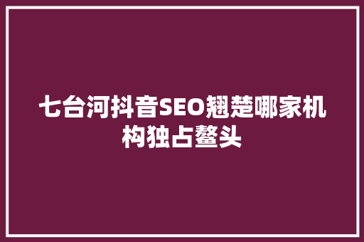 七台河抖音SEO翘楚哪家机构独占鳌头 搜狗SEO