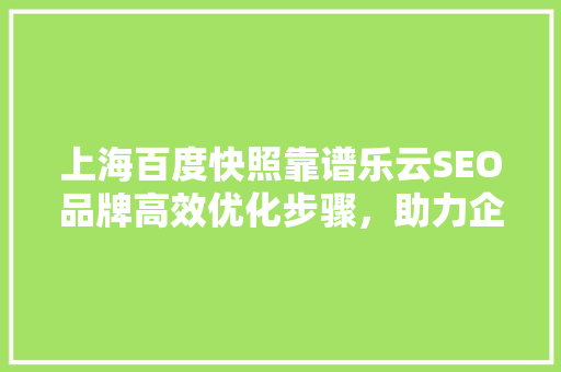 上海百度快照靠谱乐云SEO品牌高效优化步骤，助力企业腾飞 神马SEO