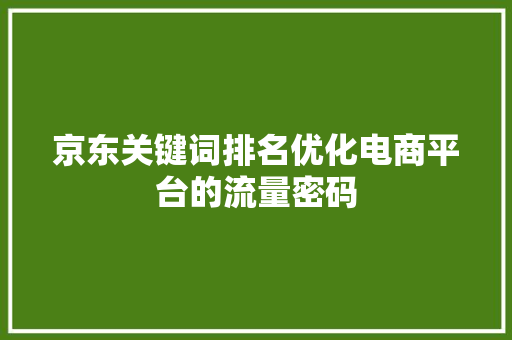 京东关键词排名优化电商平台的流量密码